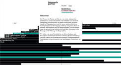 Desktop Screenshot of haemmerlepartner.ch